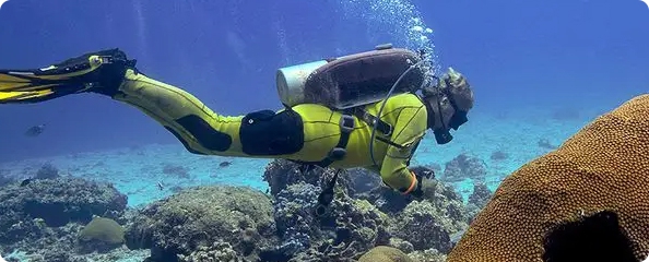 Buceo